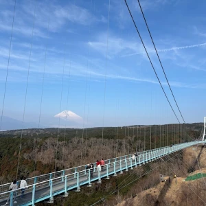 旅行に行ってきましたの写真1枚目