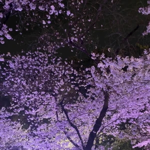 🫨の写真1枚目