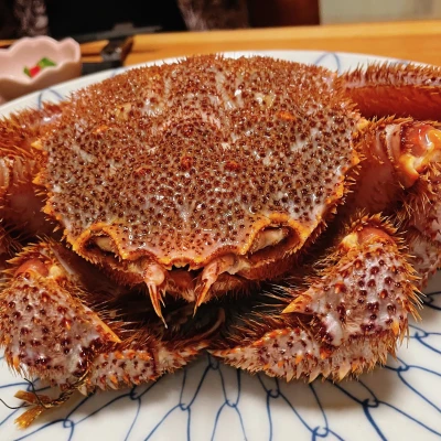 ただいま^. .^ ੭