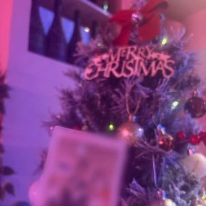 1225🎄の写真2枚目