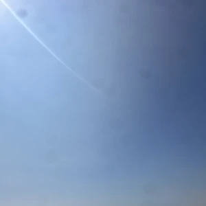 おはようございます☀️の写真1枚目