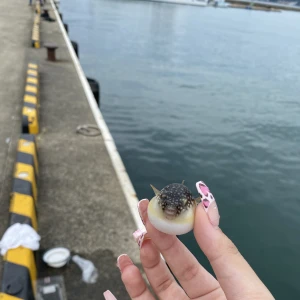 🌝の写真1枚目