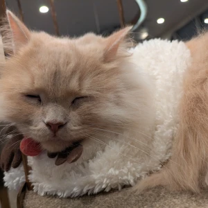 こんばんは！㌨です🎶の写真1枚目