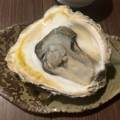 れいです🏃‍➡