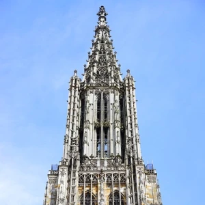 てすの写真2枚目