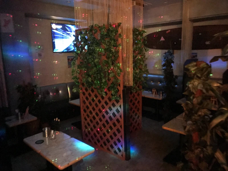 🎶本日のロコガール🎶
