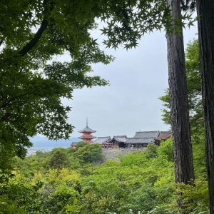 弾丸京都⛩の写真2枚目