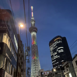 こんばんは✨の写真2枚目