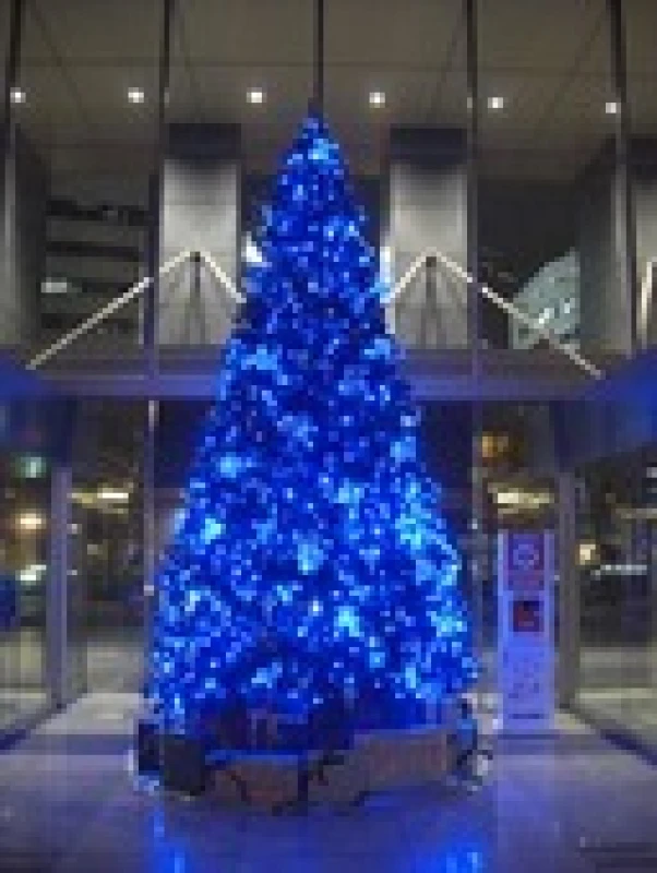 12月25日(水)