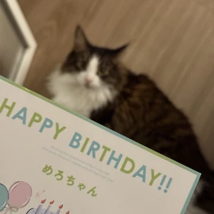 もえです🐰の写真1枚目