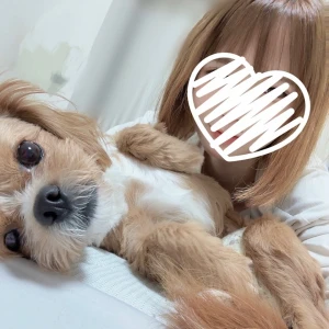 1026🐶の写真1枚目
