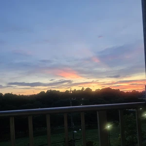 まなですの写真1枚目