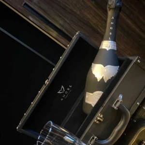 2026.3.23の写真1枚目