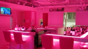 キャバクラレポート3 [東京]国分寺ガールズバー ストロベリーパーティー