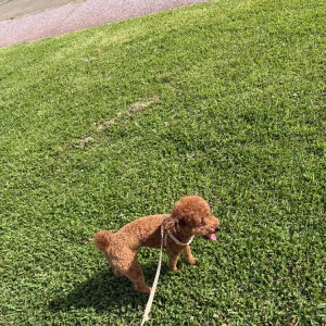 ☀️の写真1枚目