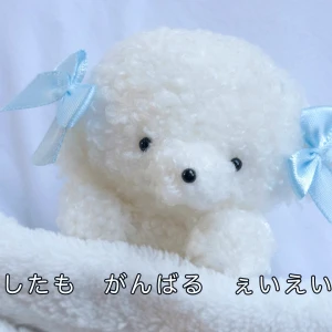 もえです🐰の写真1枚目