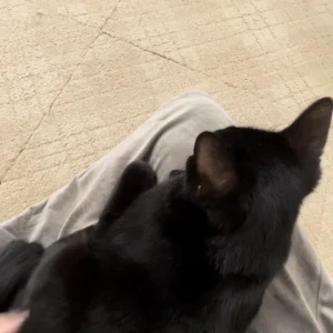 日曜日！の写真1枚目