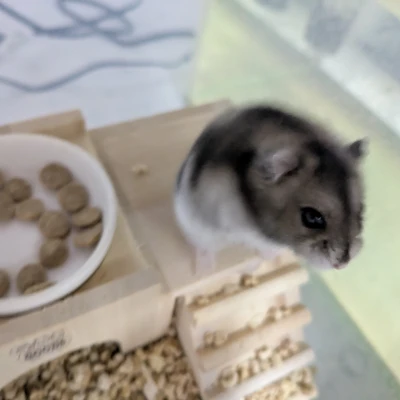 こんばんは❣️㌨です💕