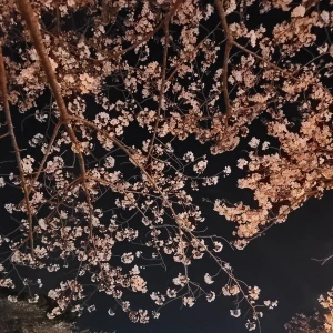 こんにちわー🍀の写真3枚目