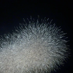 江戸川の花火いってきた🎇の写真1枚目