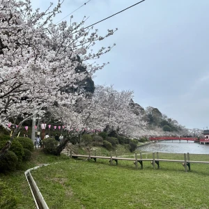 おはようございます。ゆまです🧸🥀の写真2枚目