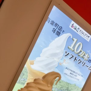 うまの写真1枚目