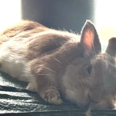 おはようございます🌞
