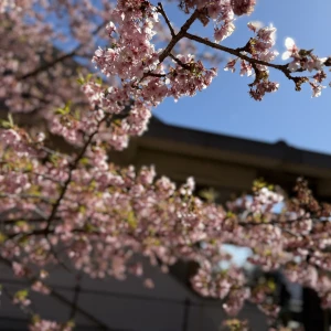 本日21:00〜✨の写真1枚目