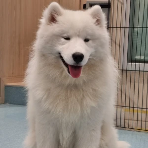 こんばんはー！の写真1枚目