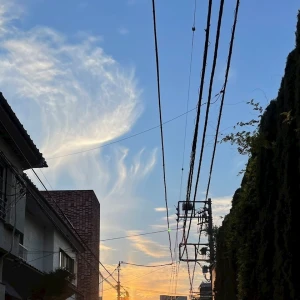 ᐕ)ﾉ 7.8 ①の写真1枚目