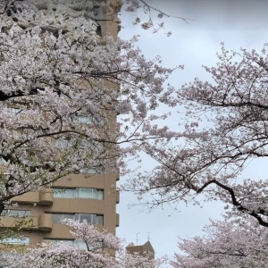 4月♡の写真1枚目