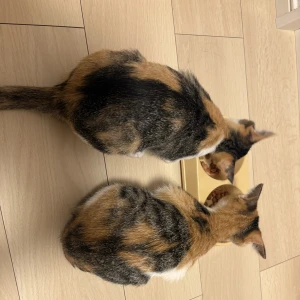 るなです❕❕の写真1枚目