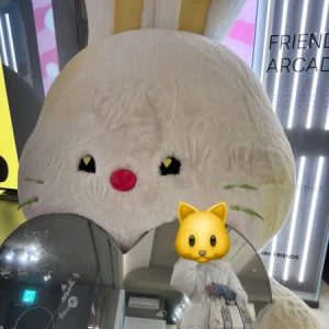 海外からお送りしています。の写真1枚目