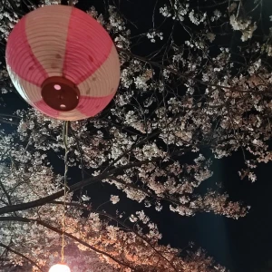 こんにちわー🍀の写真2枚目