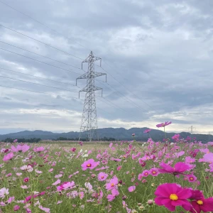 こんばんは！さなです🎀の写真1枚目