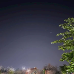 夜の公園すき！🌙🌳🫧の写真1枚目