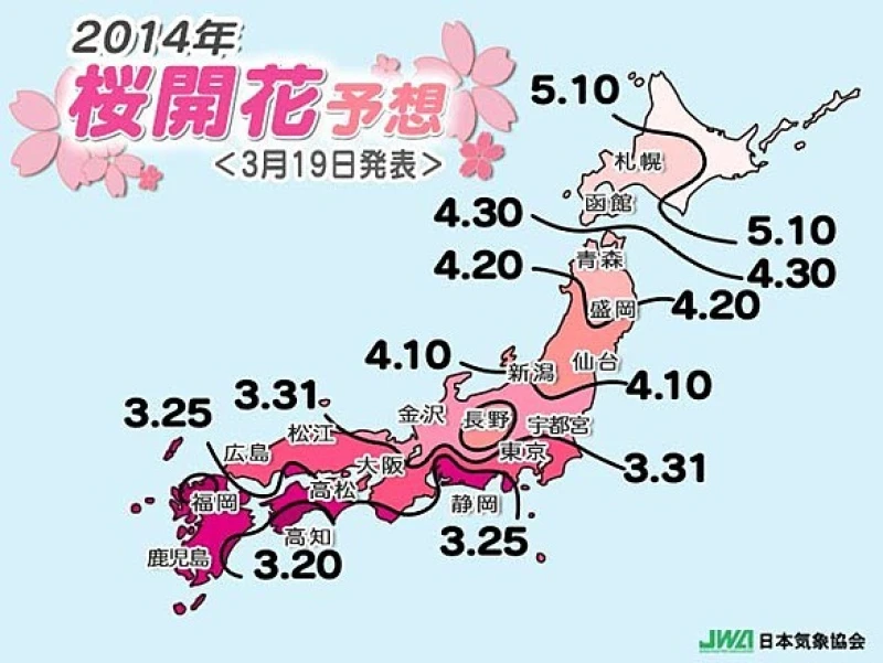 東京でも開花!!!桜前線!!