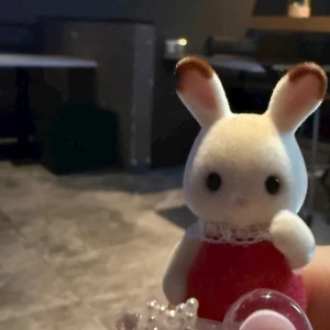 ｶﾜｲｰ( ᐡ.  ̫ . ᐡ)の写真1枚目