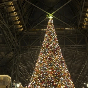 明日から12月なの信じられる？？？(辛)の写真2枚目