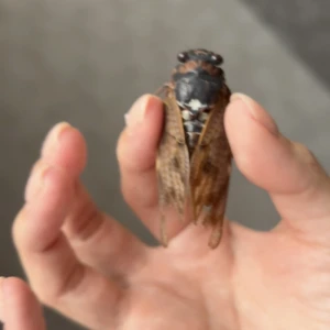 昨日は暇なようでなんか忙しかったჱ̒ ᴗ ̫ ᴗの写真1枚目
