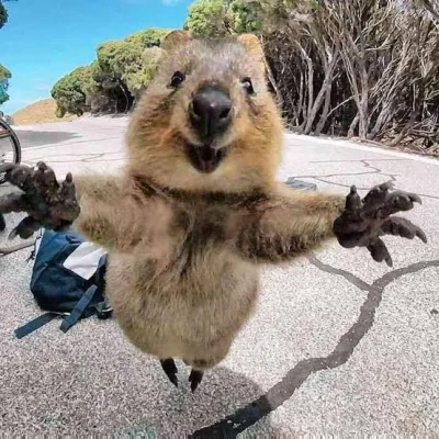 こんばんみ