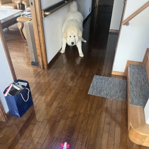 こんばんは、みちです💓の写真2枚目