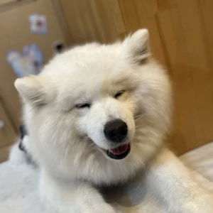 <p>こんばんはるなです❣️<br>昨日指名してくれた仲良しさん<br>ありがとう〜😳💞<br>何でだろうねほんとに時間あっという間笑<br>足りん足りん🤣<br>なんだ...の写真1枚目