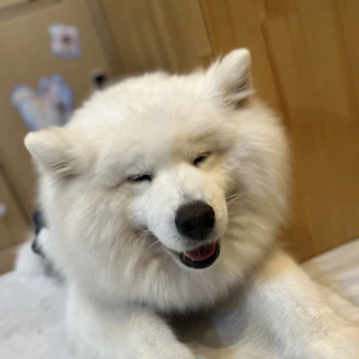 <p>こんばんはるなです❣️<br>昨日指名してくれた仲良しさん<br>ありがとう〜😳💞<br>何でだろうねほんとに時間あっという間笑<br>足りん足りん🤣<br>なんだ...