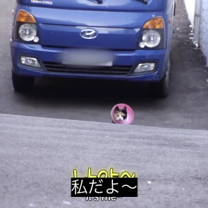 あやかです🍑の写真1枚目