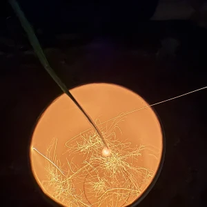 出勤✨✨✨の写真1枚目