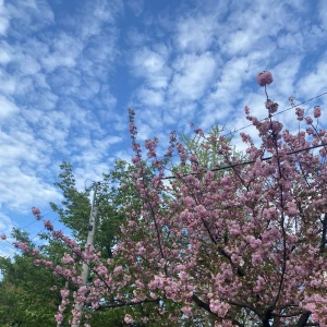 おはよーございます☀️の写真1枚目