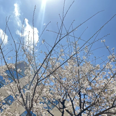 こんばんは〜！まゆです🫶🏻🩵