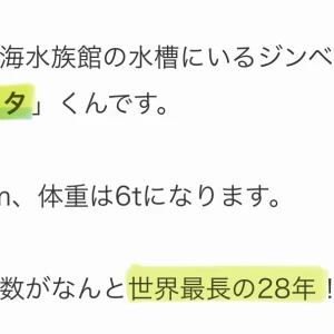 2024.11.10の写真3枚目