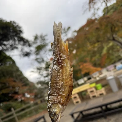 こんにちはー!!!みなとです🧸💭🍒✨